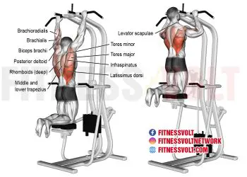 Master the Machine-Assisted Pull-Up for Back Strength