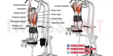 Master the Machine-Assisted Pull-Up for Back Strength