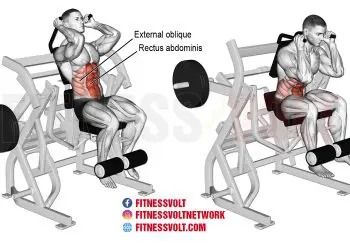 Ultimate Machine Leg Raise Crunch for Core and Hip Strength