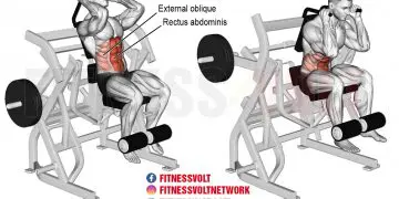 Ultimate Machine Leg Raise Crunch for Core and Hip Strength