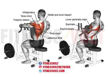 Strengthen Your Back: Machine One-Arm Row for Maximum Gains