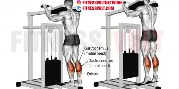 Gains Galore: Master the Machine Standing Calf Raise!