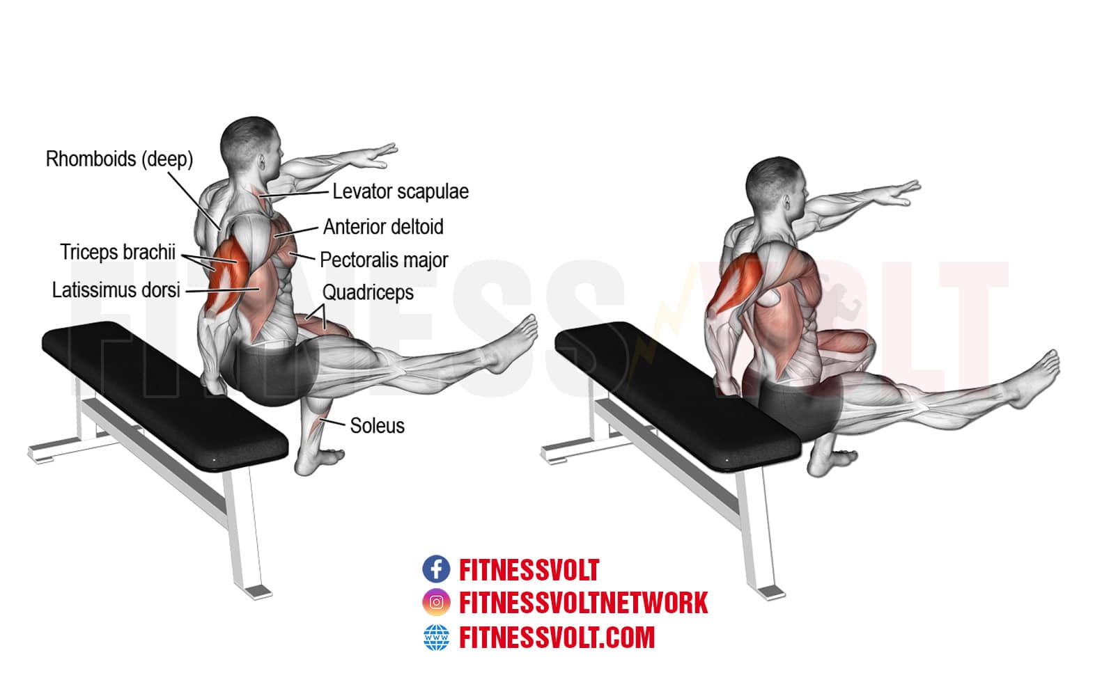 One Arm Bench Dip Triceps Fitness Volt