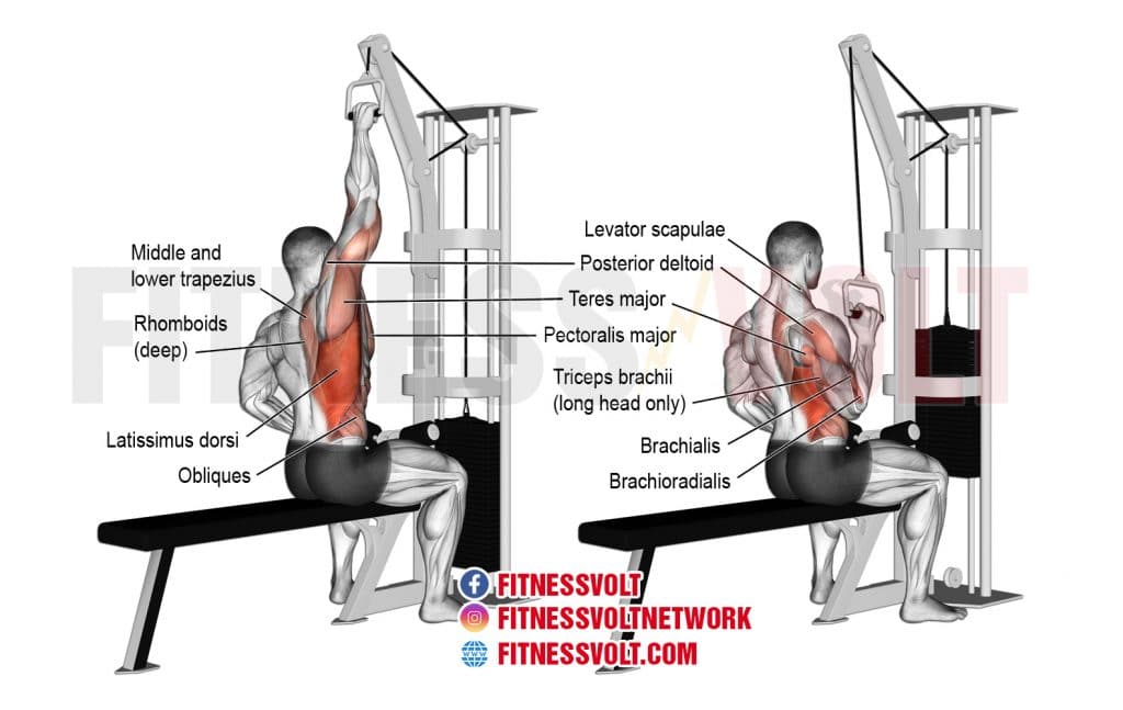 One-Arm Lat Pull-Down (Lats) – Fitness Volt