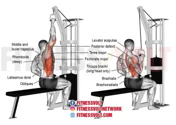 Build Back Strength with One-Arm Lat Pull-Downs for Lats