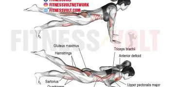 Ultimate One-Leg Push-Up: Strengthen Your Chest and Core!