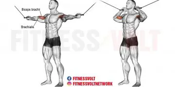 Overhead Cable Curl: Build Strong Biceps and Arms Fast!