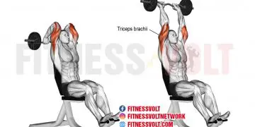 Master the Overhead EZ Bar Tricep Extension for Stronger Arms