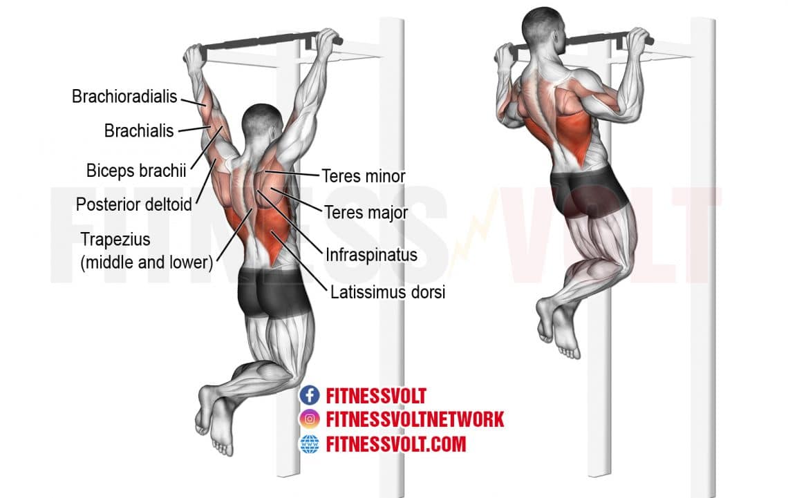 Lat Pulldowns Vs Pull Ups What s The Best Lat Exercise IIOMI