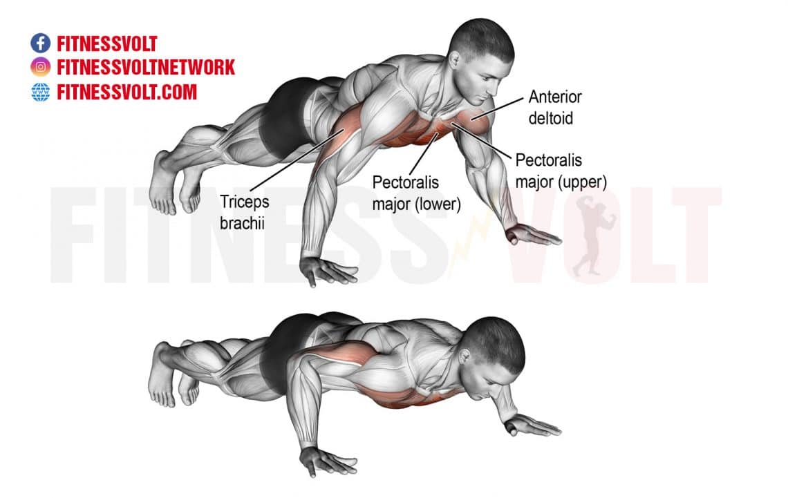 How To Do Push Up Chest Fitness Volt 0618