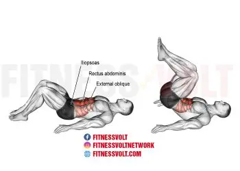 How to Do The Reverse Crunch