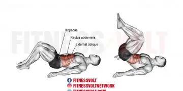 How to Do The Reverse Crunch