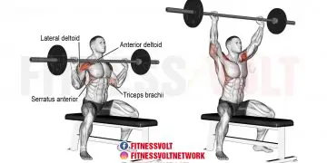 Seated overhead press