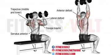 Seated Dumbbell Overhead Press: Target Your Shoulders & Arms