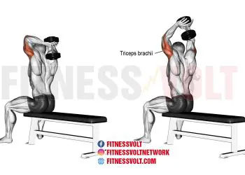 Seated Dumbbell Overhead Triceps Extensions