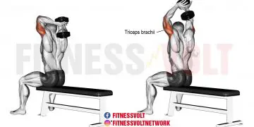 Seated Dumbbell Overhead Triceps Extensions