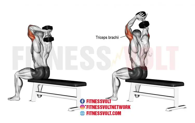 Seated Dumbbell Overhead Triceps Extensions