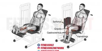 How to Do Lying Leg Curl: Form, Variations, and Common Mistakes – Fitness  Volt