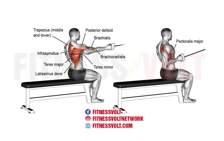 Seated One-Arm Cable Row