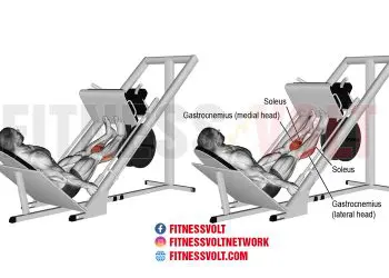 Sled Calf Press: Strengthen Your Calves and Improve Performance