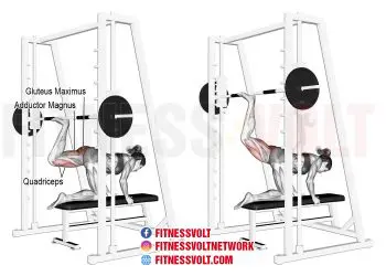 Smith Machine Kneeling Rear Kick: Target Your Glutes Effectively!