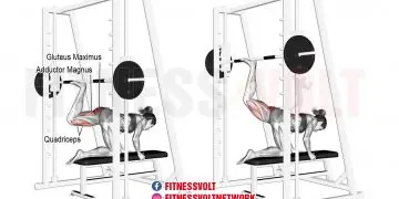 Smith Machine Kneeling Rear Kick: Target Your Glutes Effectively!