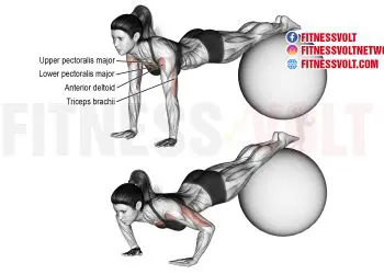 Master the Stability Ball Decline Push-Up for Total Chest Strength
