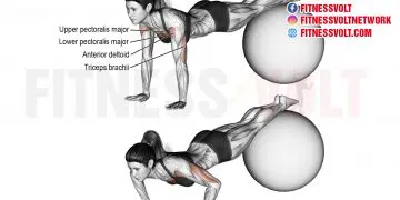 Master the Stability Ball Decline Push-Up for Total Chest Strength