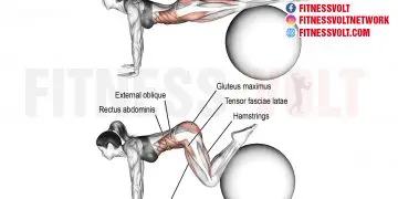 Stability Ball Jackknife: Strengthen Your Core and Shoulders