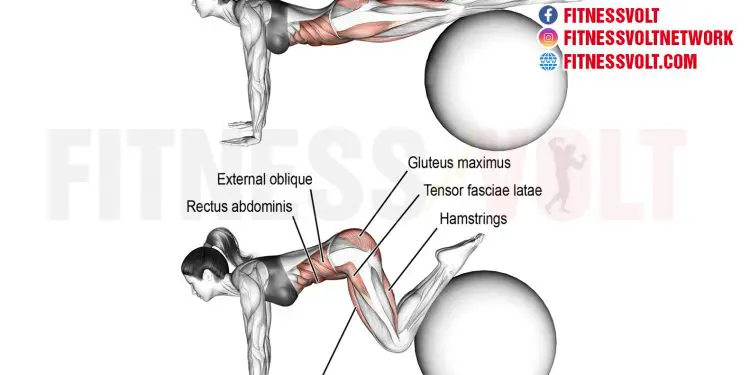 Stability Ball Jackknife: Strengthen Your Core and Shoulders