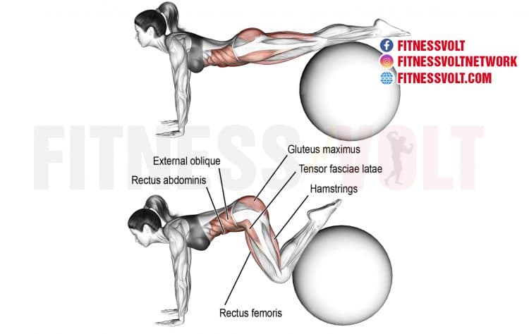 core stability ball