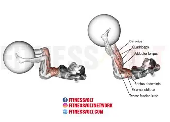 Stability Ball Leg Extension Crunch: Target Abs & Hip Flexors