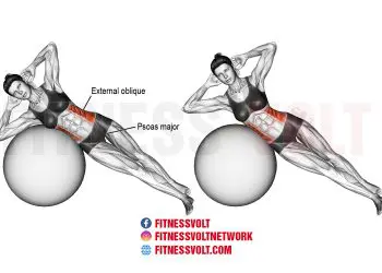 Strengthen Your Core with Stability Ball Side Bend Exercise