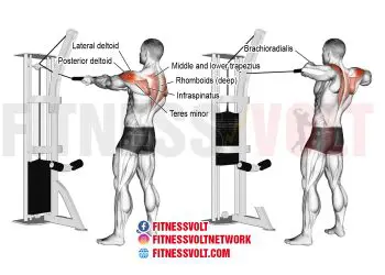 Master the Standing Cable Rear Delt Row for Stronger Shoulders