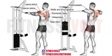 Master the Standing Cable Rear Delt Row for Stronger Shoulders