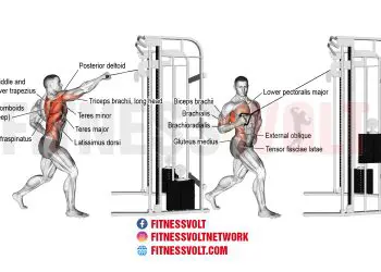 Transform Your Back: Standing Twisting Cable High Row Guide