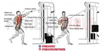 Transform Your Back: Standing Twisting Cable High Row Guide