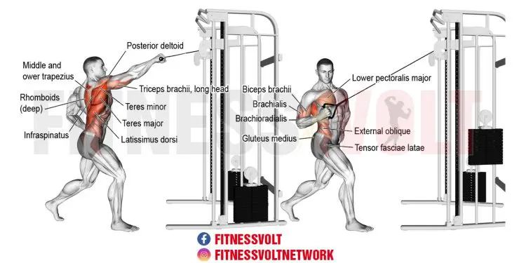 Transform Your Back: Standing Twisting Cable High Row Guide
