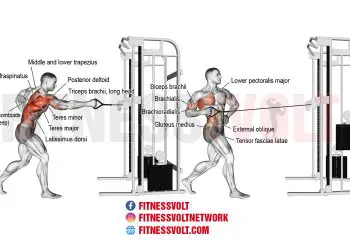 Standing Twisting Cable Row: Strengthen Your Back & Obliques