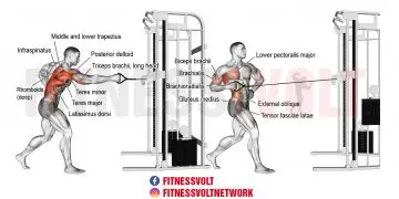 Standing Twisting Cable Row: Strengthen Your Back & Obliques