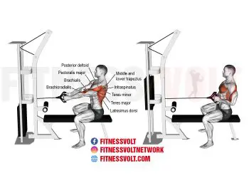 Straight-Back Seated Cable Row: Strengthen Your Back & Arms