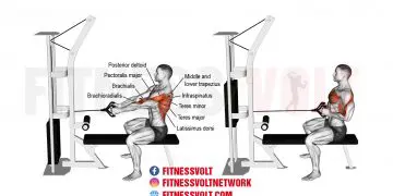 Straight-Back Seated Cable Row: Strengthen Your Back & Arms