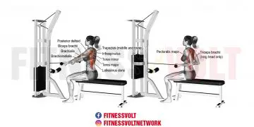 Build Upper Back Strength: Straight-Back Underhand Cable Row