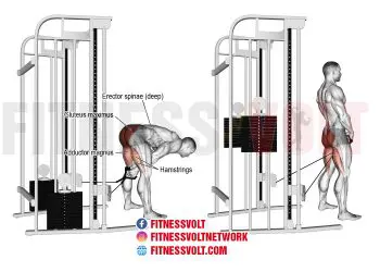 Maximize Glute Gains: Straight-Leg Cable Pull-Through Guide