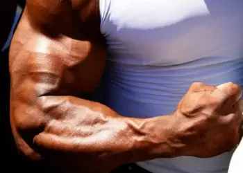 Training The Brachioradialis Muscles