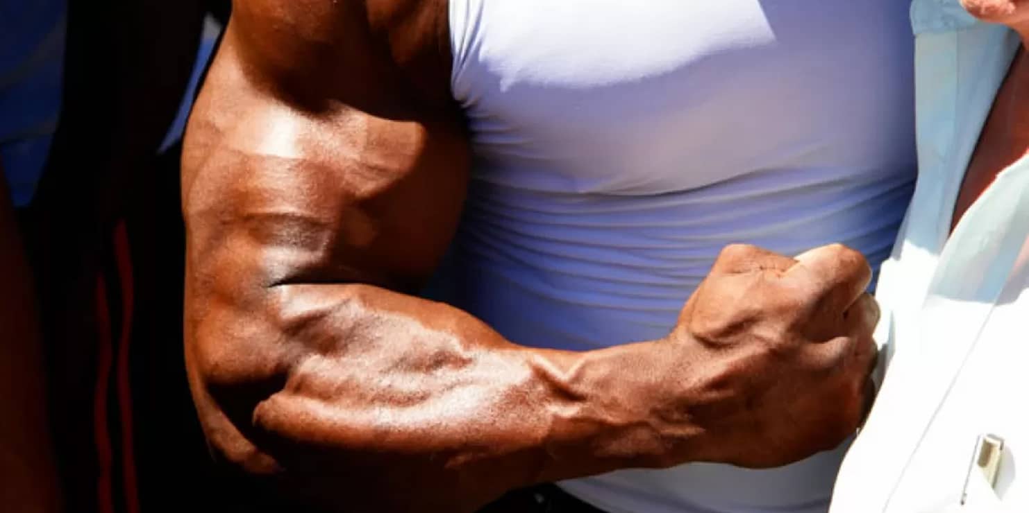 brachioradialis training muscles arm extra mass