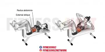 Twisting Crunch: Target Your Abs, Obliques & Hip Flexors!