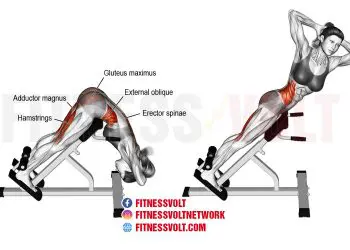 Twisting Hyperextension: Strengthen Your Back and Obliques