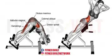 Twisting Hyperextension: Strengthen Your Back and Obliques