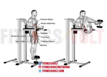Weighted Captain’s Chair Leg Raise for Stronger Abs & Hips